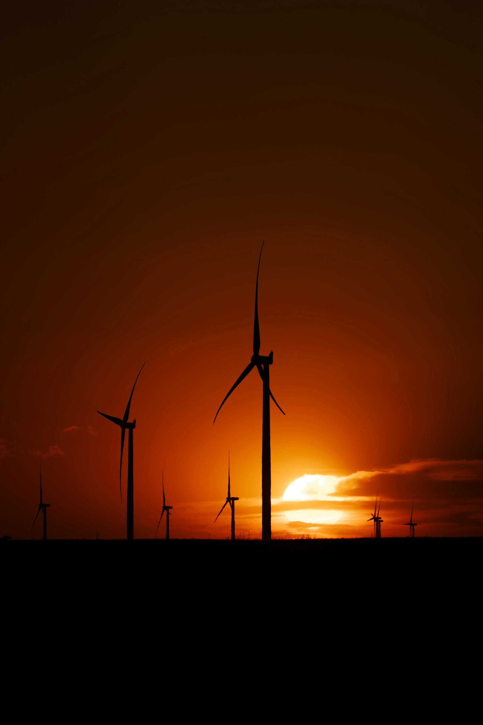 Wind turbines silhouetted against a sunset